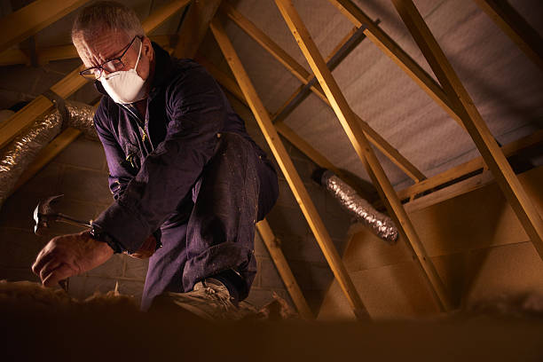 Types of Insulation We Offer in Star Valley, AZ